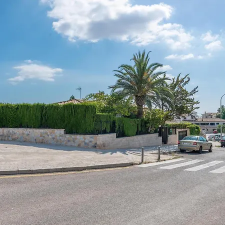 فيلة Teulera *