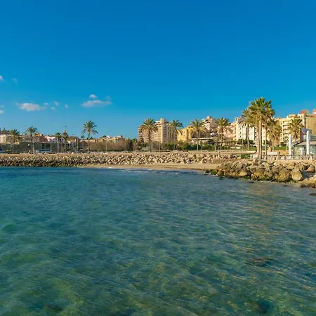 Teulera * Palma de Mallorca